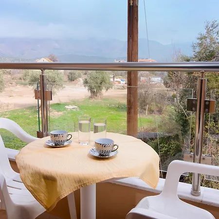 Oasis فندق *