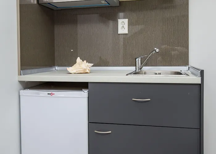 酒店 Oasis 利迈纳里亚